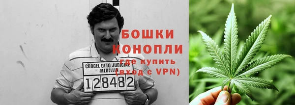 мяу мяу кристалл Няндома