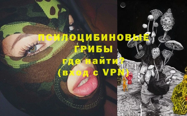 мяу мяу кристалл Няндома