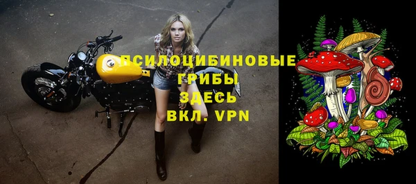 мяу мяу кристалл Няндома