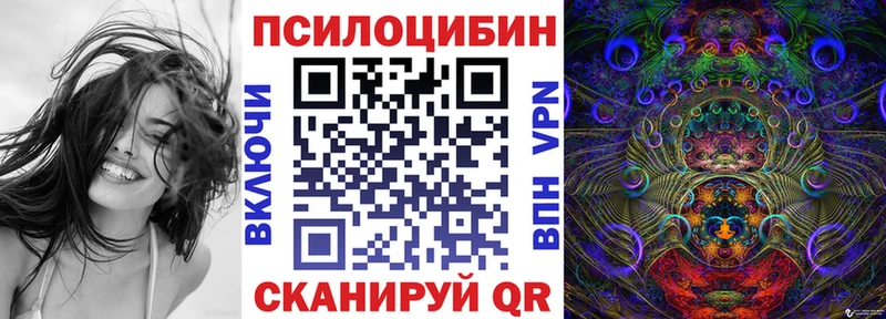 Псилоцибиновые грибы GOLDEN TEACHER  Купить где  Ижевск 