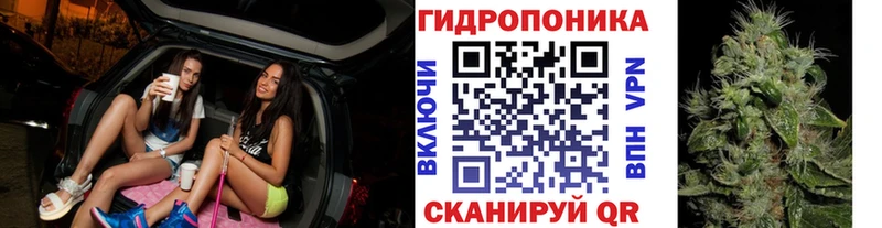 Купить  Ижевск  Шишки марихуана Bruce Banner 